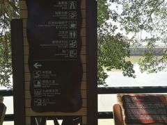 -大湾区中央湿地公园