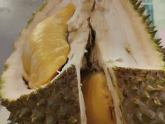 -都念榴莲·城市榴莲