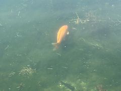 -小王府(什刹海店)