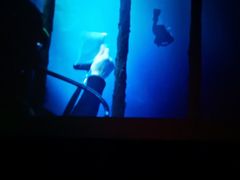 -佳兆业国际影城(惠州IMAX店)