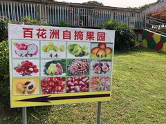 -松山湖梦幻百花洲