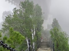 -少华山国家森林公园