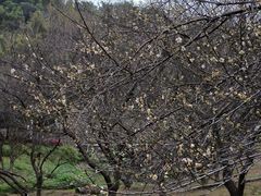 -黄龙带水库