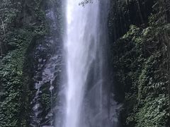 -莫里热带雨林景区