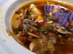 藤椒豆花江团-芙蓉凰花园酒楼