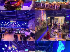 -bluefrog蓝蛙(皇庭广场店)