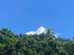 -海南热带雨林国家公园吊罗山景区