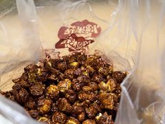 -源宗盛粽子汤圆