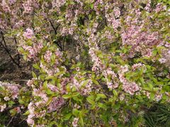 -白塘生态植物园