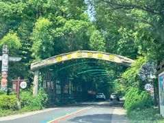 -常州淹城野生动物世界