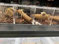 -宝鸡东道花鸟鱼虫市场(吉利花园商场店)