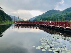 -广州市石门国家森林公园