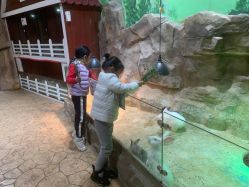 -宝燕乐园(闵行旗舰店)