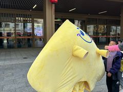 -千年银杏谷文化旅游区