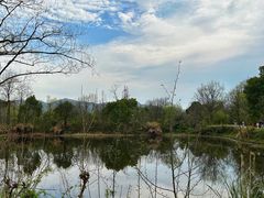 -西溪国家湿地公园