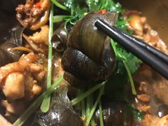 -食爺炭炉鸡煲·烧烤