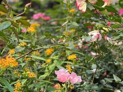 -人民公园(罗湖区)