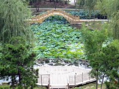 -舍利塔滩地公园-无垢净光舍利塔