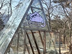 -沂蒙山旅游区云蒙景区(蒙山国家森林公园)