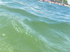 -碧海金沙