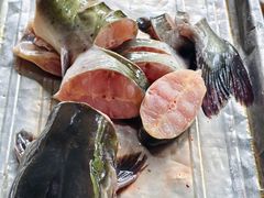 -姥家大锅台水库渔家