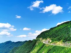 -武陵山森林公园