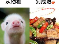 -澜悦港海鲜体验主题餐厅