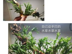 -华声天桥民俗文化园