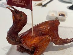 -侨美·唐荔园·40年地道粤菜