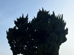 -青岛第一海水浴场