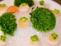 -三利音·浦之舟(滨江大道店)