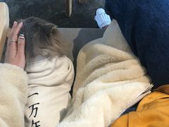 -喵屿·大理花园猫咖