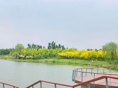 -东郊湿地公园