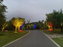 -南京银杏湖乐园