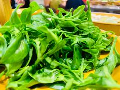 -龍歌自助小火锅(崂山丽达店)