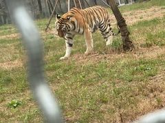 -祥源·阜阳生态乐园