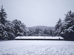 -秦始皇帝陵博物院-丽山园