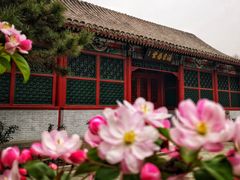 -海棠花溪(元大都城垣遗址公园)