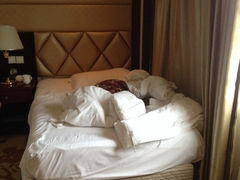 iphone_upload_pic-上海莎海国际酒店