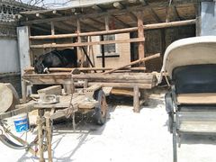 -清风小镇闯关东影视基地