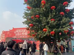 -磁器口古镇