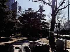 -顺城公园