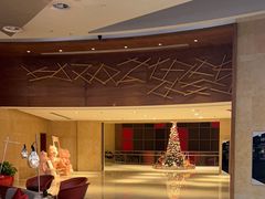 -南京禄口机场雅高铂尔曼大酒店