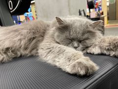 -Vamos巴猫司健身中心(五角场店)