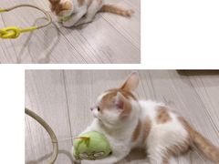 -萨莉亚意式餐厅(特力时尚汇店)