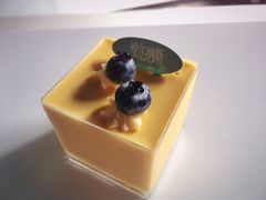 -维尔纳斯·生日蛋糕动物奶油冰淇淋蛋糕(人大店)