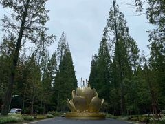 -东平国家森林公园