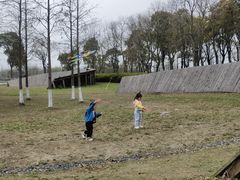 -春花秋色城市公园