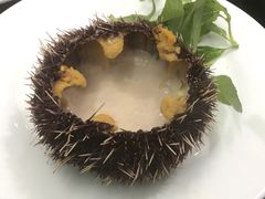 -QQ海鲜餐厅