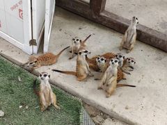 -成都欢乐谷